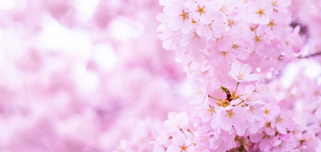 仙台市宮城野区 歯医者,仙台市宮城野区 歯科,宮城野区 歯医者,宮城野区 歯科,歯医者,歯科,仙台市宮城野区,宮城野区,仙台市,光倫歯科